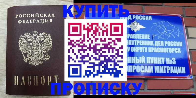 прописка гарантия в Сарове